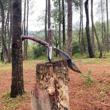 Knife with a wooden handle on a tree stump in a forest setting